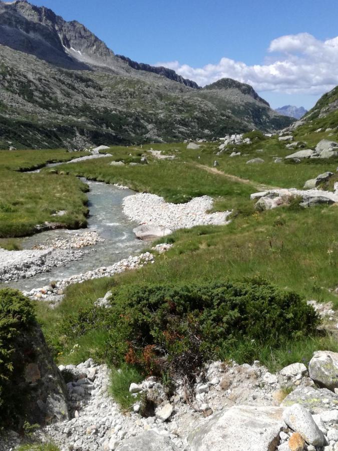 Отель Rifugio Stella Alpina Saviore dell'Adamello Экстерьер фото